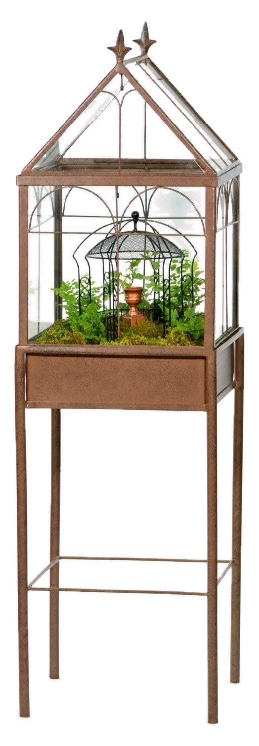 H Potter Large Glass Terrarium Succulent Planter Wardian Case for plants - Plantonio