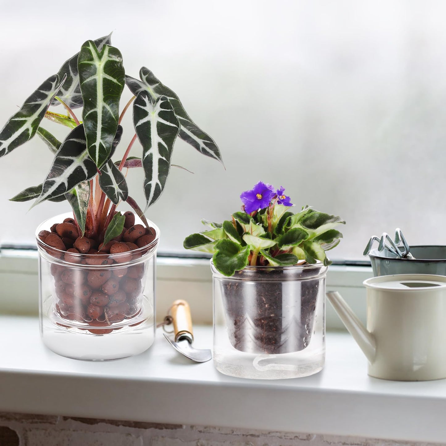 LAZUSAM 4 Inch Self Watering Pot for Indoor Plants,Small Plant Pot,African Violet Pot Self Watering,Bottom Watering Pot,Clear Glass Planter for Small Houseplants - Plantonio