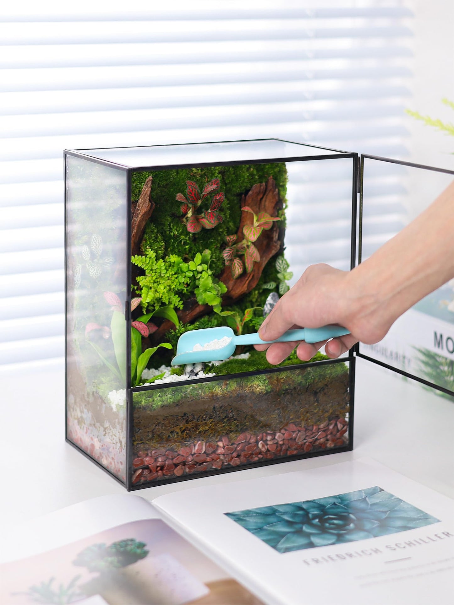 REDHUGO Glass Planter Terrariums with Door, Glass Terrarium Glass Greenhouse, Geometric Plants Terrariums Planter for Moss, Succulent, Indoor Tabletop Centerpiece, Rectangle, Black (TERRARIUM ONLY) - Plantonio