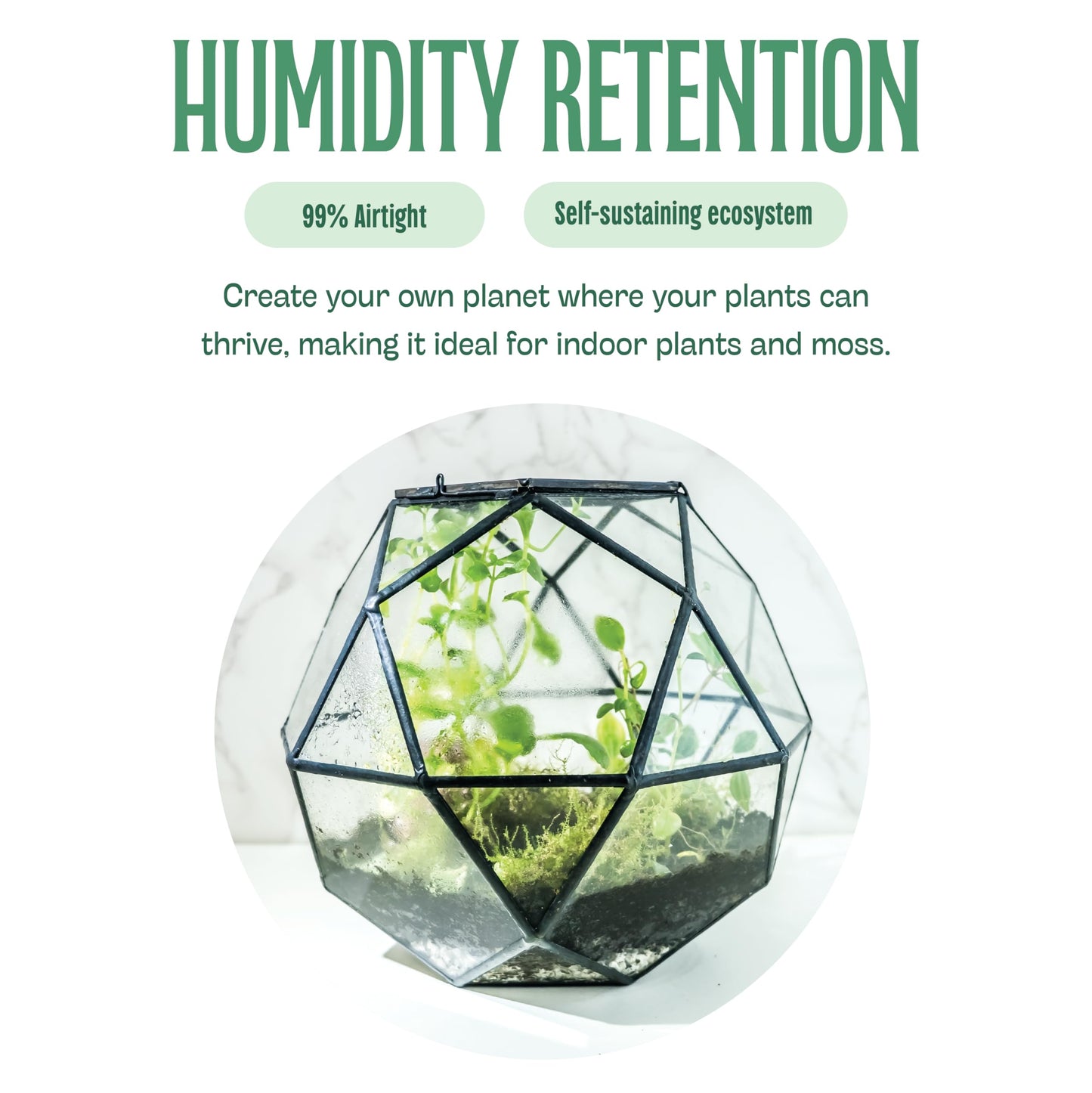 KraftStories Clear Glass Terrarium with Door | Sphere Design Container | Ideal Planter for Moss and Indoor Plants | Maintains Humidity | Self-Sustaining Indoor Garden Ecosystem (Only Terrarium) - Plantonio