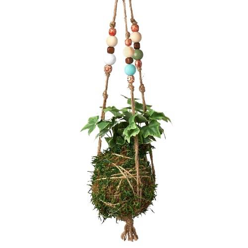 Bead Kokedama Moss Ball Hanging Plant - Plantonio