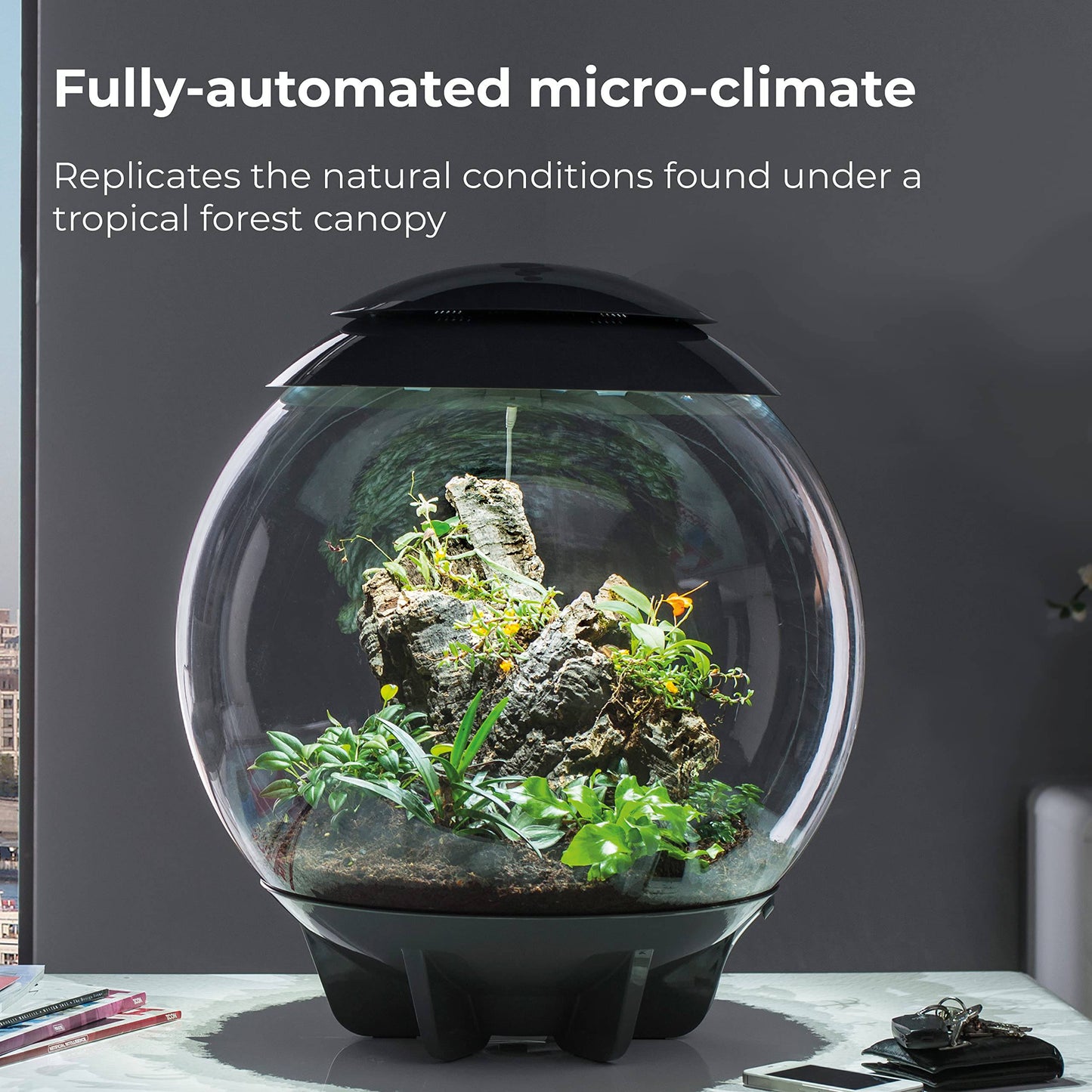 biOrb AIR 60 LED Terrarium - 16 gallon, white (46147) - Plantonio