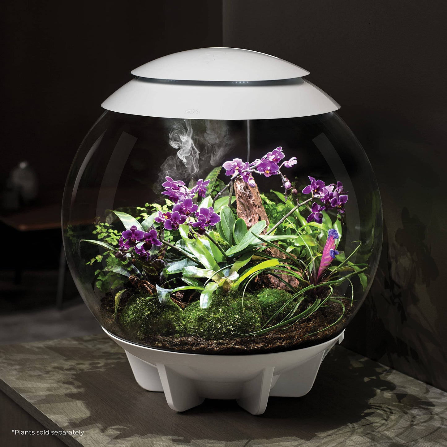biOrb AIR 60 LED Terrarium - 16 gallon, white (46147) - Plantonio