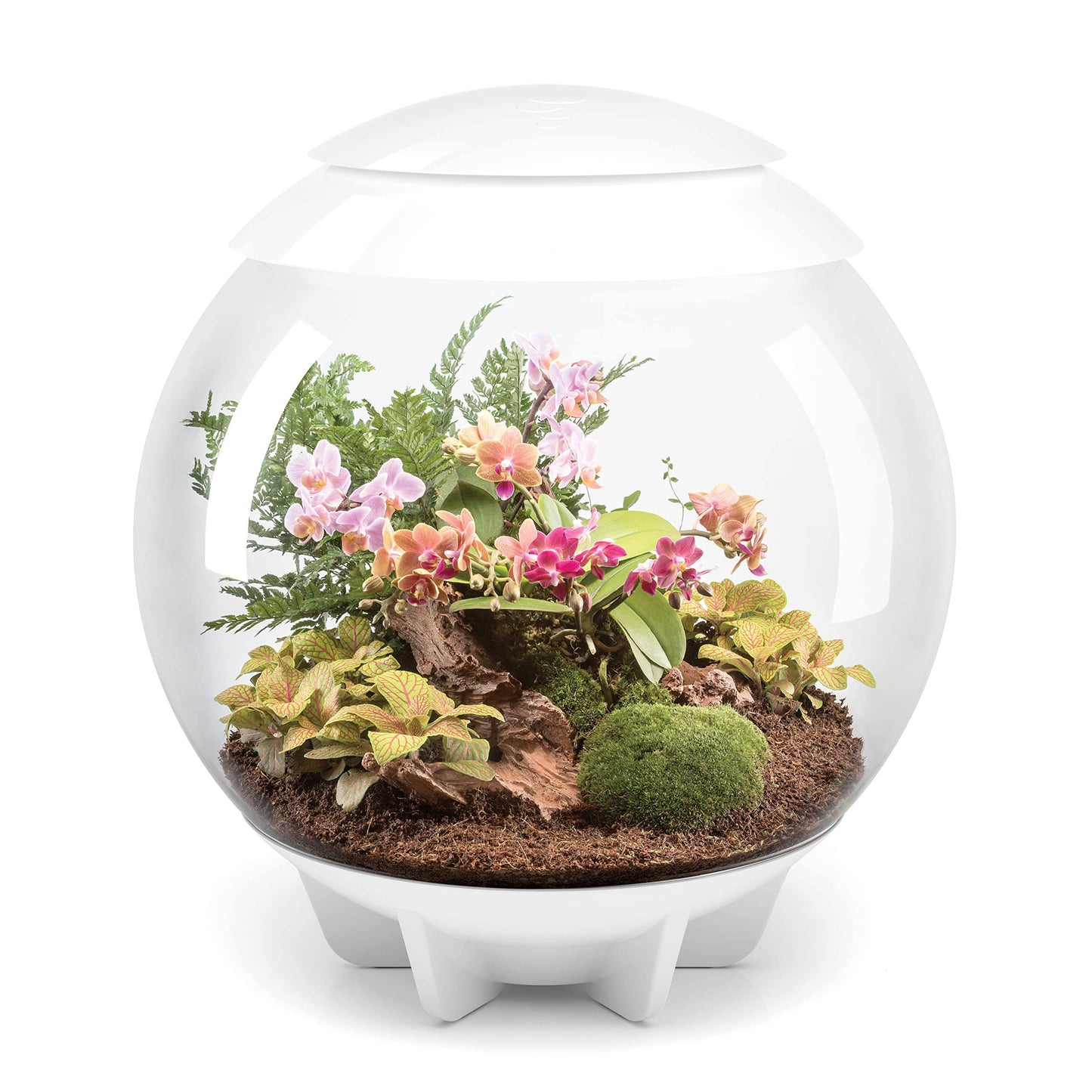 biOrb AIR 60 LED Terrarium - 16 gallon, white (46147) - Plantonio