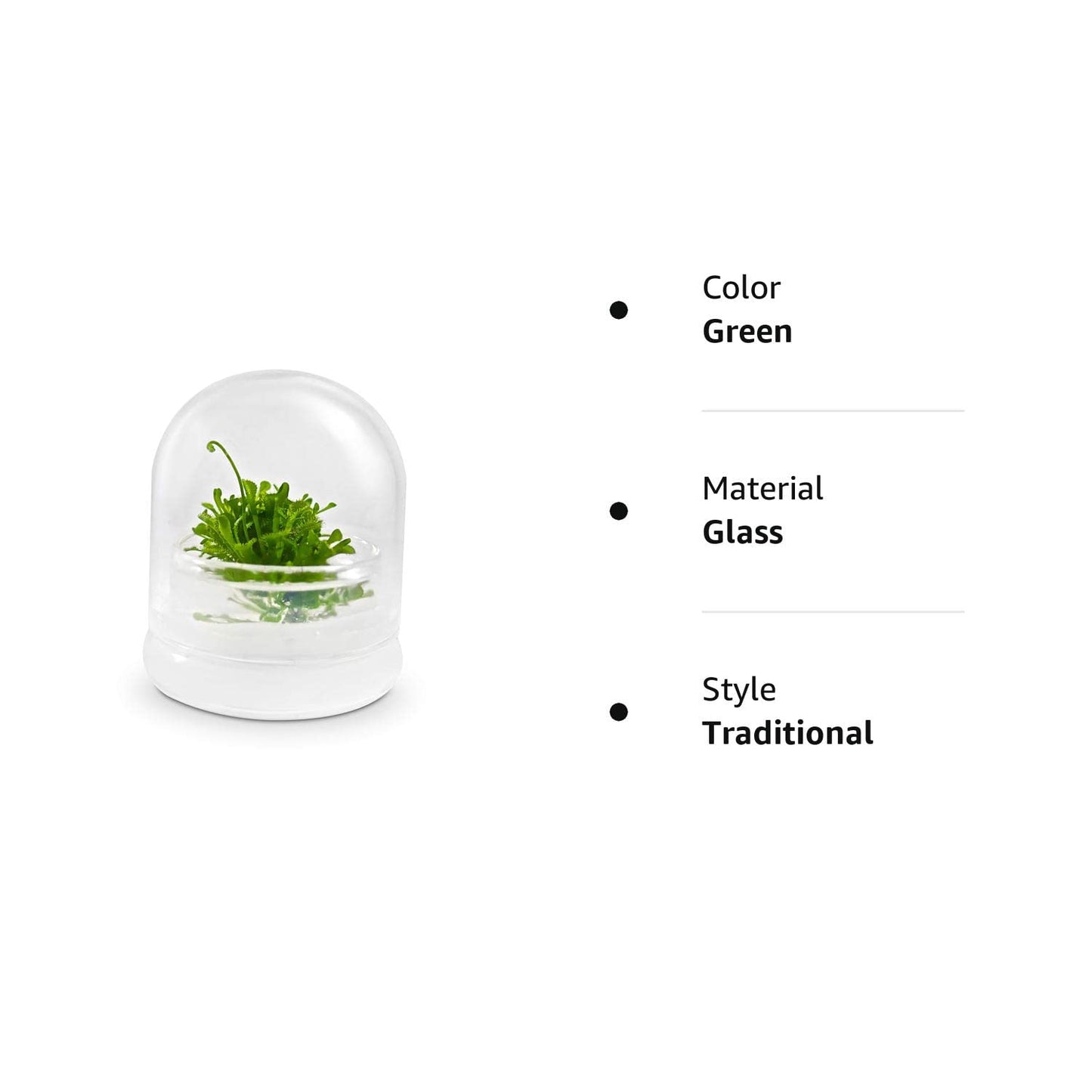 Bloomify Live Sundew Plant Terrarium – Enclosed Ecosystem with Zero Maintenance – Unique Ecosphere Plants for Home Décor – Drosera Spatula Sundew Plant –Great Gift – Self-Sustaining Terrarium - Plantonio