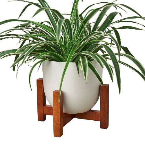 Ceramic Contour Pot with Wood Stand - 7 Inch - Plantonio