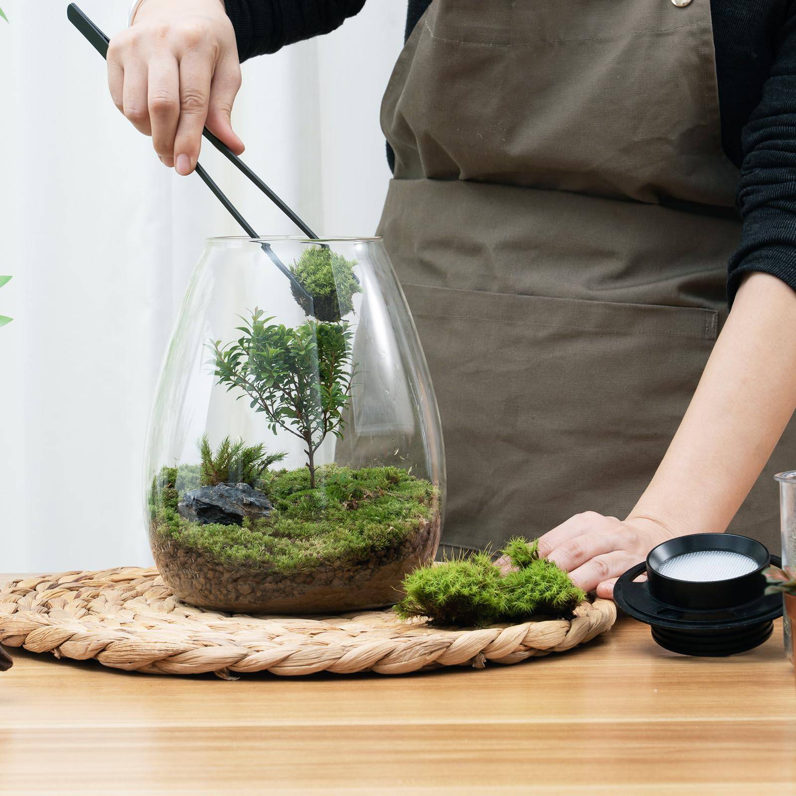 Desktop Glass Plant Terrarium with Grow Light (H:7.8" D:6.7"), for Succulent, Moss, Miniature Gardening Landscape, Betta Fish Tank, Indoor Plant Growth, Office Home Decoration, Plant Lovers Gifts - Plantonio