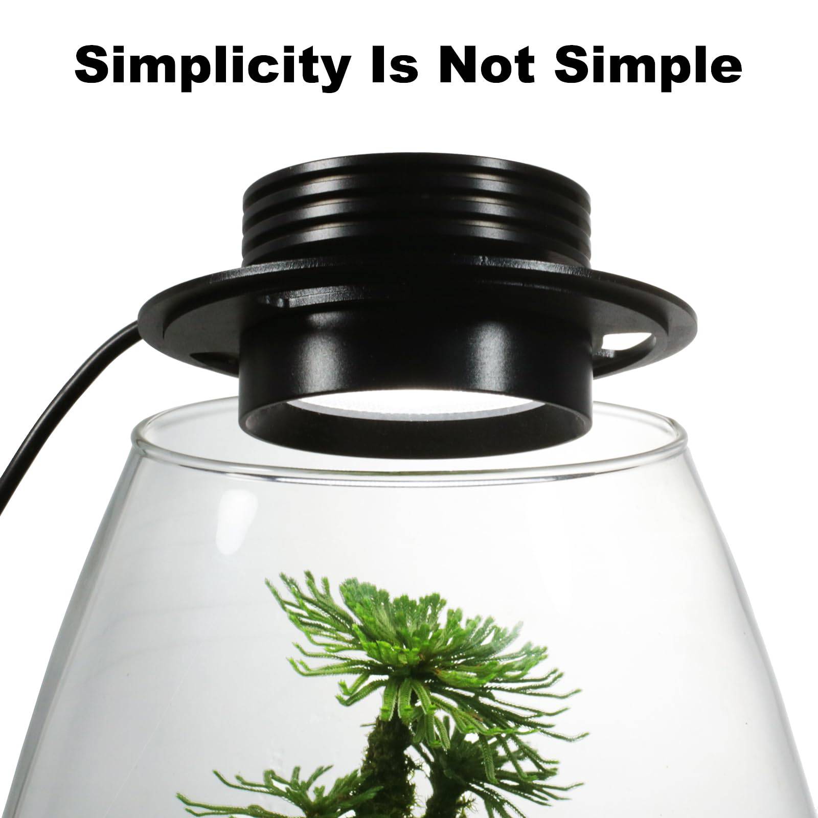 Desktop Glass Plant Terrarium with Grow Light (H:7.8" D:6.7"), for Succulent, Moss, Miniature Gardening Landscape, Betta Fish Tank, Indoor Plant Growth, Office Home Decoration, Plant Lovers Gifts - Plantonio