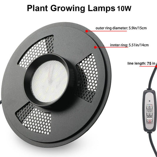 Desktop Glass Plant Terrarium with Grow Light (H:9.8" D:5.9"), for Succulent, Moss, Miniature Gardening Landscape, Betta Fish Tank, Indoor Plant Growth, Office Home Decoration, Plant Lovers Gifts - Plantonio