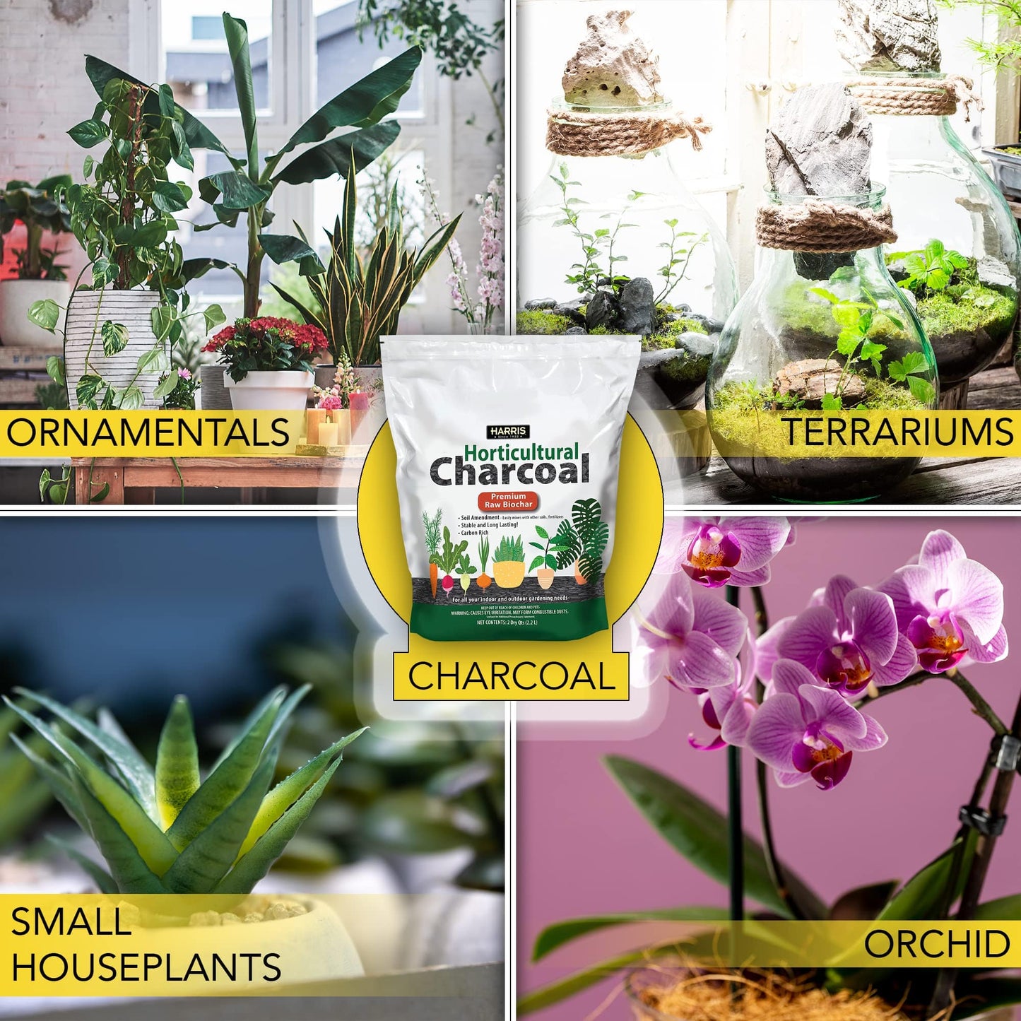 Harris Horticultural Charcoal, Premium Biochar Soil Amendment for Plants and Terrariums, 2qt - Plantonio