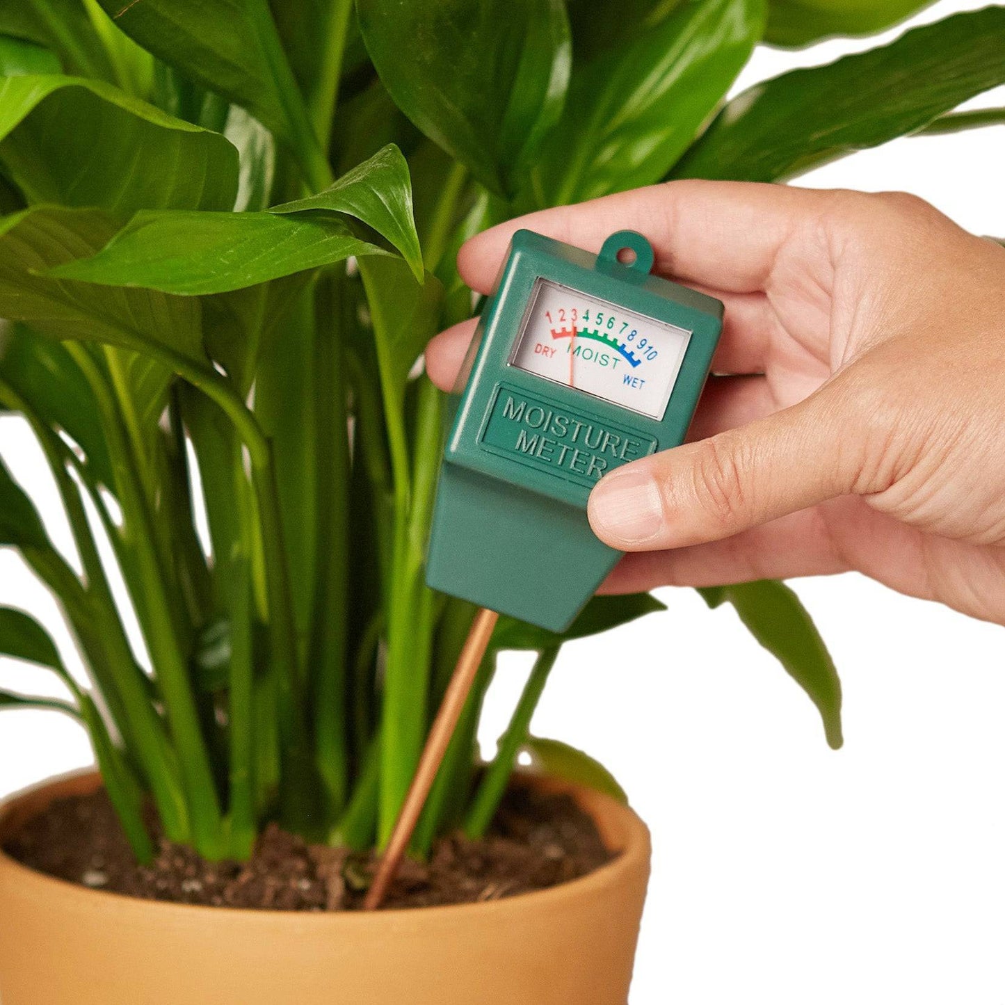 Moisture Meter - Plantonio