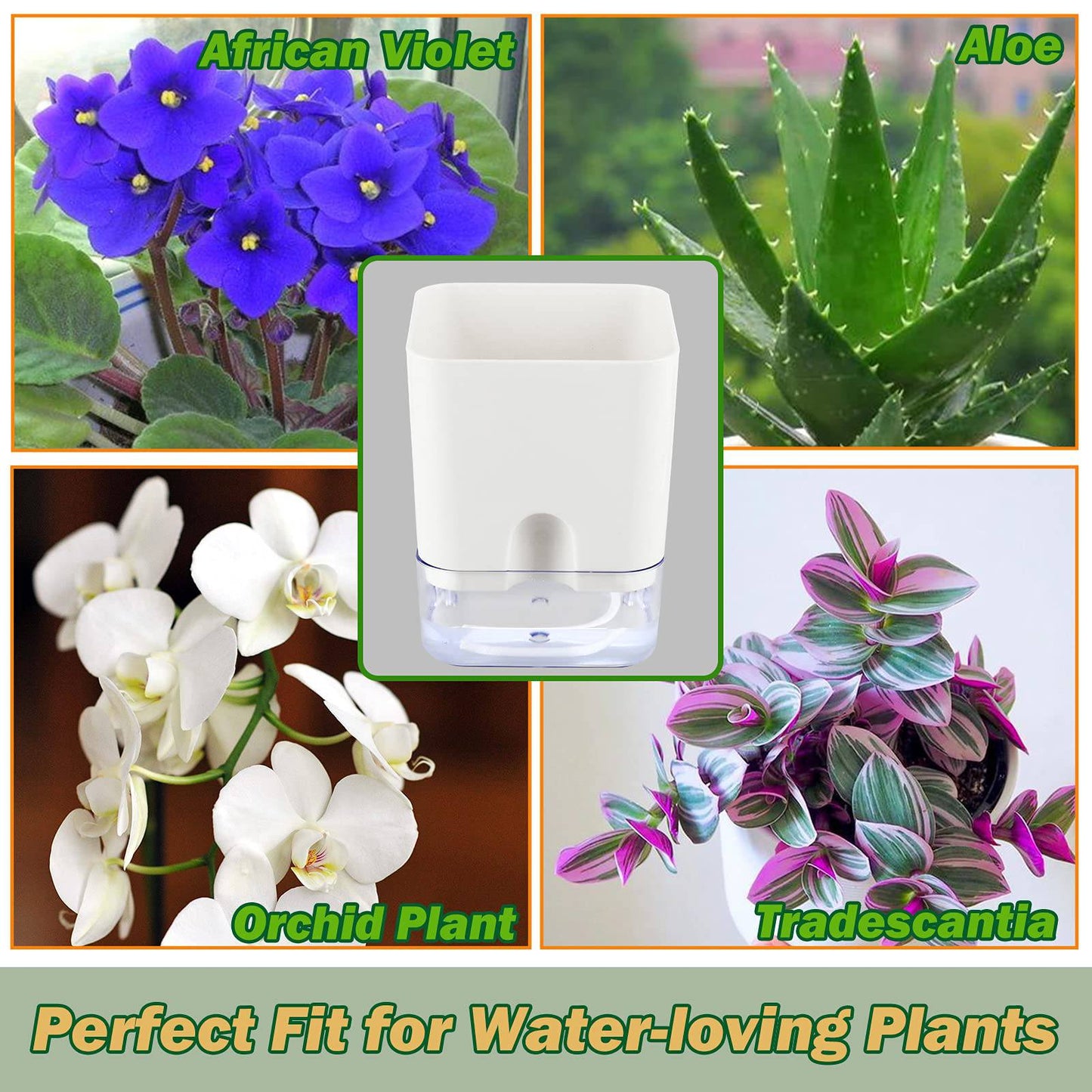 Planterhoma 6 Pack-5.5 Inch Self Watering Plant Pots for Indoor Plants, Square Self-Watering Planters Box Transparent for Devil's Ivy, Spider Plant, Orchid, African Violet - Plantonio