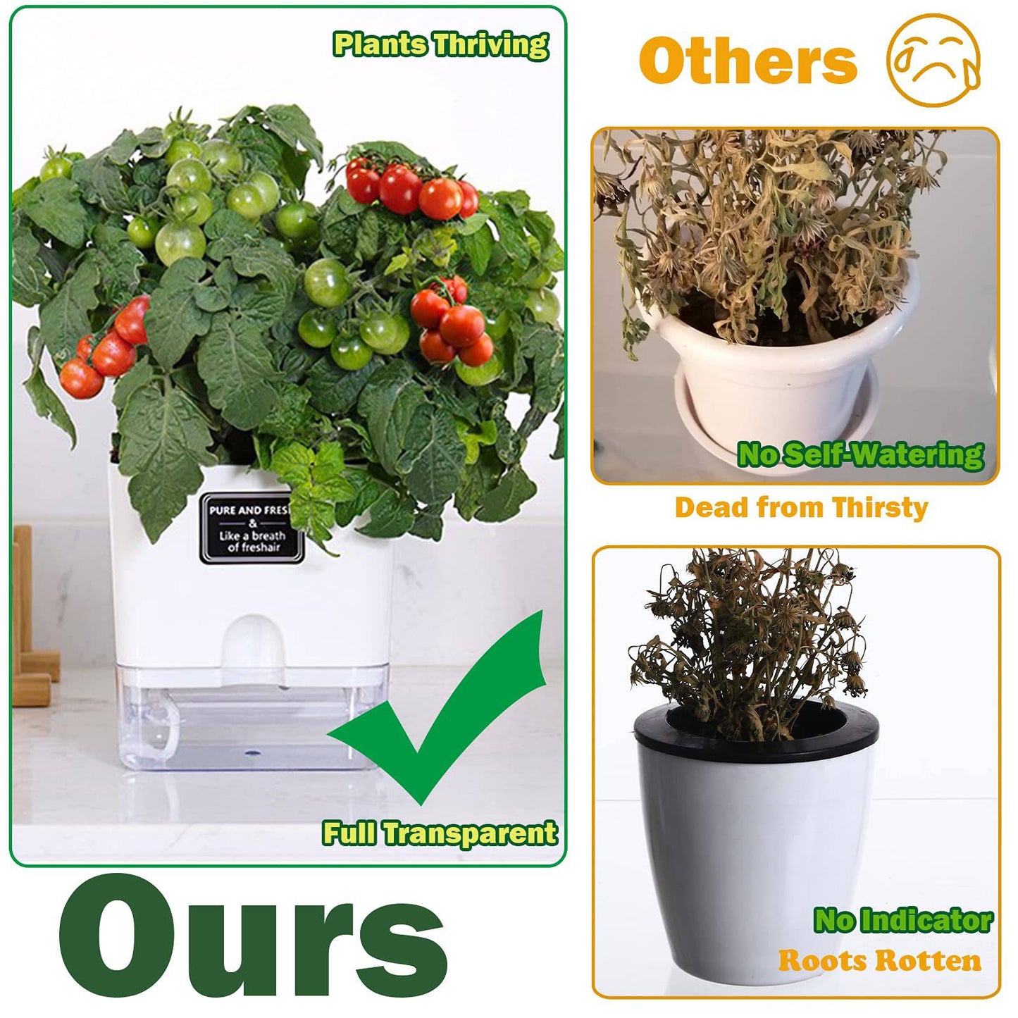Planterhoma 6 Pack-5.5 Inch Self Watering Plant Pots for Indoor Plants, Square Self-Watering Planters Box Transparent for Devil's Ivy, Spider Plant, Orchid, African Violet - Plantonio