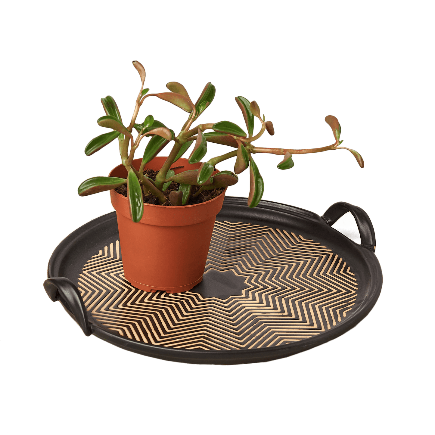 Rahnza Tray - 11 Inch - Plantonio