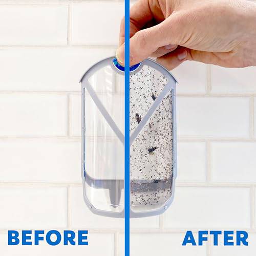 Zevo Flying Insect Trap, Fly Trap, Fruit Fly Trap (2 Plug-in Bases + 2 Refill Cartridges) - Plantonio