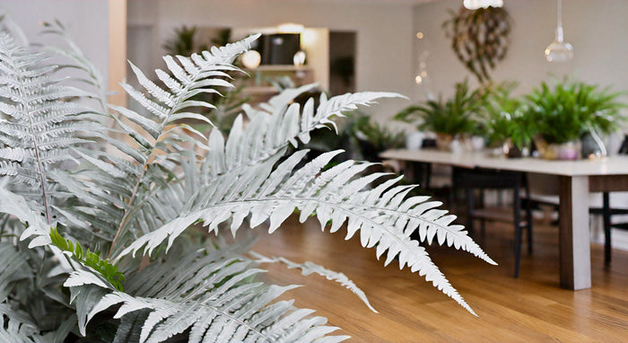 El Encanto de los Helechos de Hoja Plateada: Guía Completa para Amantes de Plantas de Interior