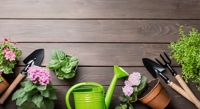 Top Horticulture Jobs: How to Land Your Dream Position in the Green Industry