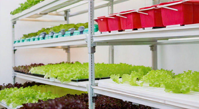 Top-rated Hydroponics Store Near Your Location - Find the Best Selection of Indoor Gardening Supplies