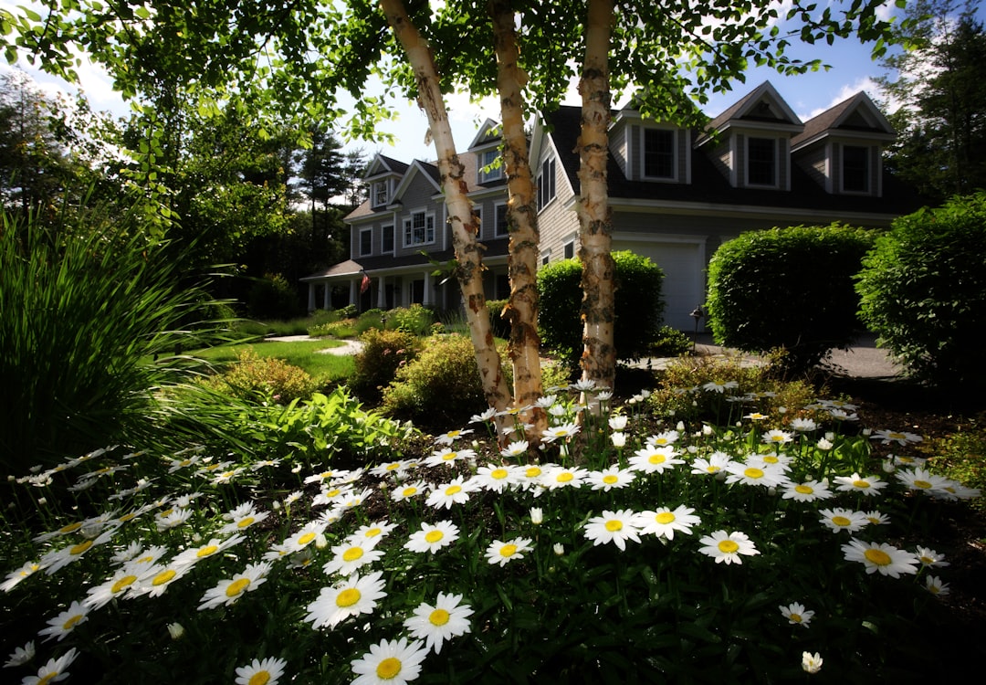 Top Organic Plant Fertilizers for Thriving Indoor Greenery