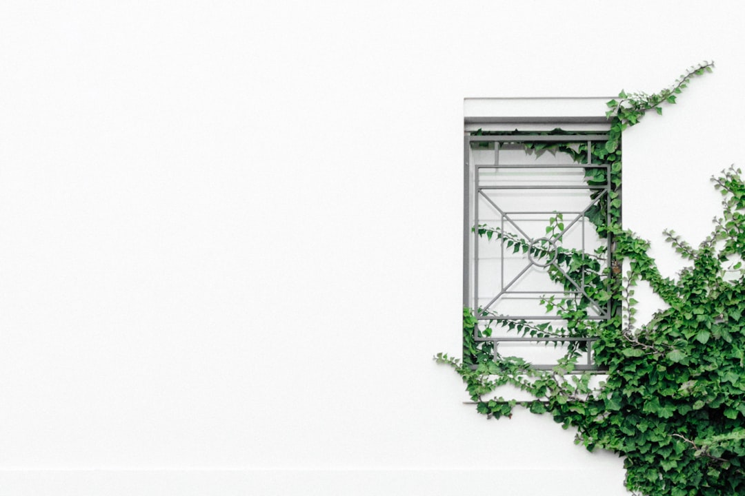 Revive Your Dying Houseplant with These Expert Tips