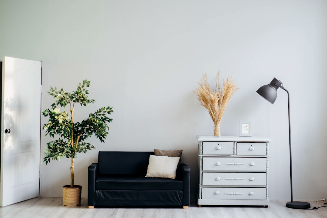 Eco-Friendly Plant Pot Ideas for a Greener Home