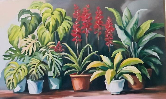 Ultimate Guide to Natural Pest Control for Indoor Plants