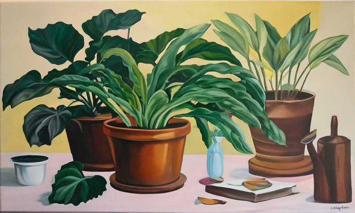 Unlock the Best Indoor Plant Subscription Services