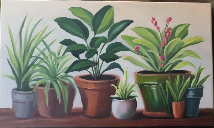 Mastering Indoor Plant Propagation Techniques: A Complete Guide