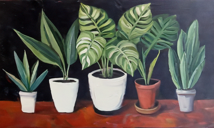 Top 7 Easy-Care Indoor Plants for Busy Professionals