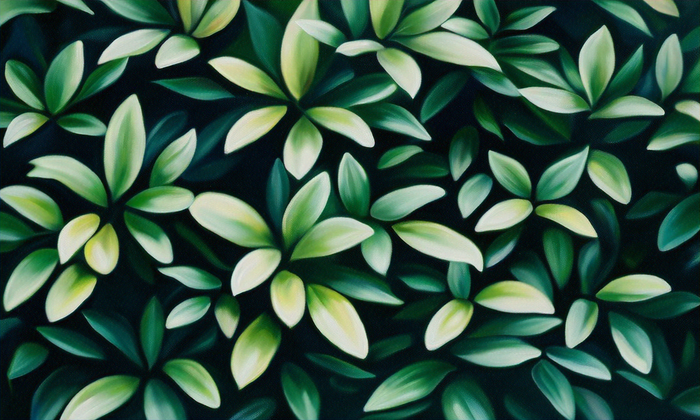 Green Living with Houseplants: Transform Your Space Naturally