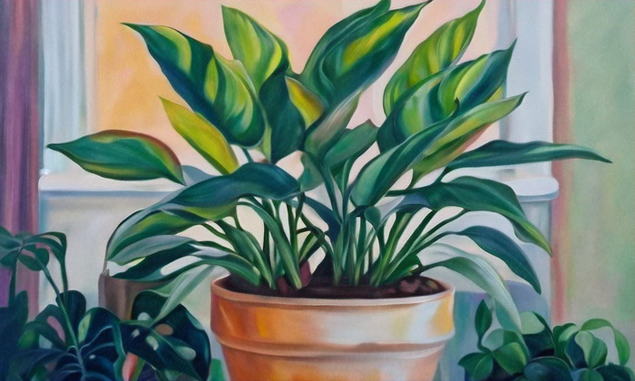 Ultimate Guide to Houseplant Delivery: Tips for Choosing, Caring & Styling