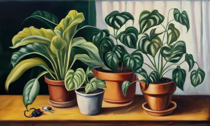 Ultimate Guide: Natural Pest Control for Indoor Plants