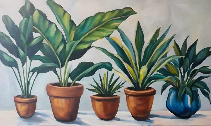 The Ultimate Guide to Grow Lights for Indoor Plants