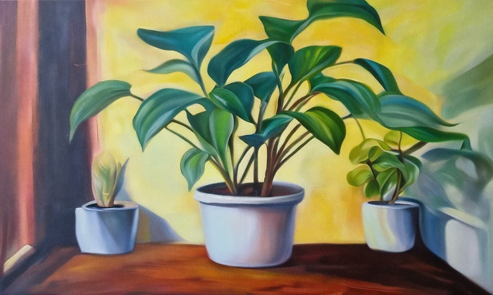 5 Indoor Plant Styling Tips for a Greener Home