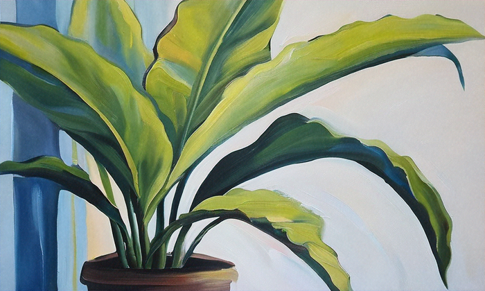 Ultimate Guide to Indoor Plant Care: Tips for Thriving Plants