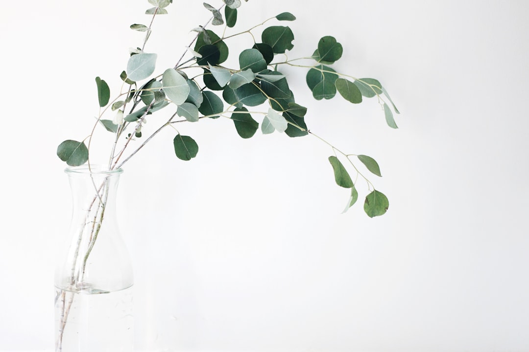 houseplant delivery in wappingers falls, New York