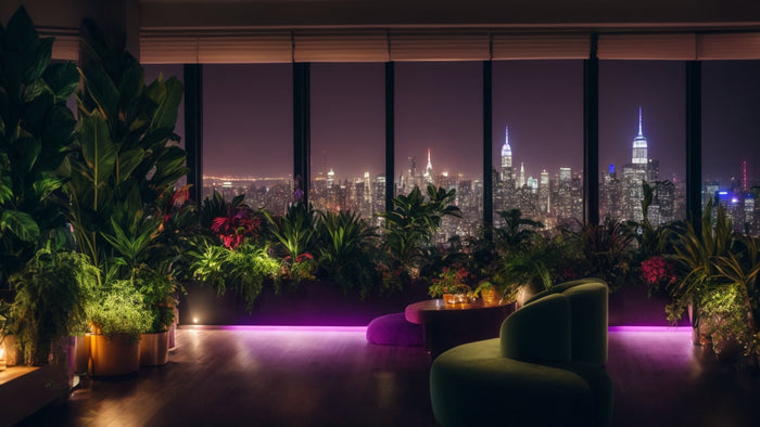 Mystery Plant Box Houseplants: A Comprehensive Guide to Their Origins, Care, and Tips for Success