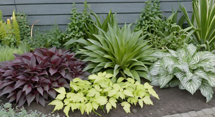 The Ultimate Guide to Successful Horticulture: Tips, Techniques, and Best Practices