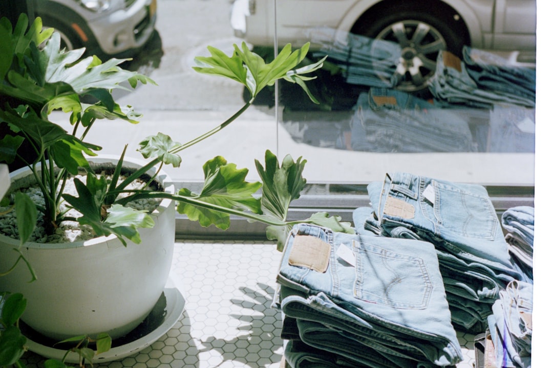 Ultimate Guide: Identifying and Treating Common Houseplant Pests