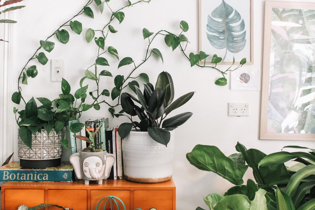 Transform Your Space: Using Plant Stands and Shelving to Showcase Your Indoor Garden