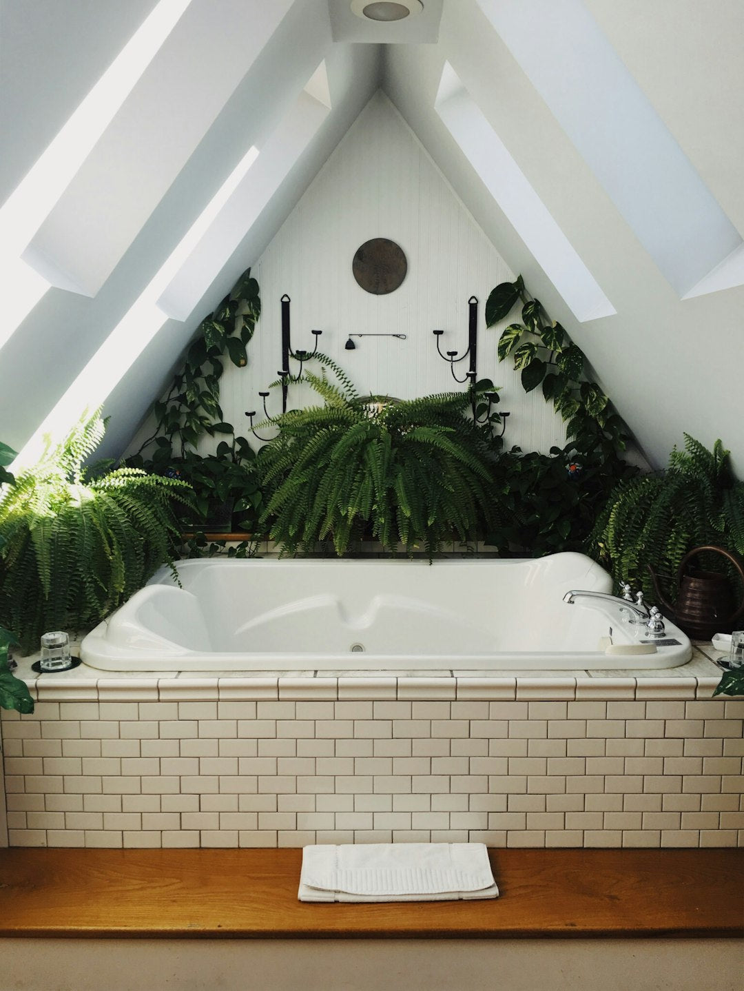 Essential Houseplant Care Tips for Beginners: Thrive with Your Green Friends!