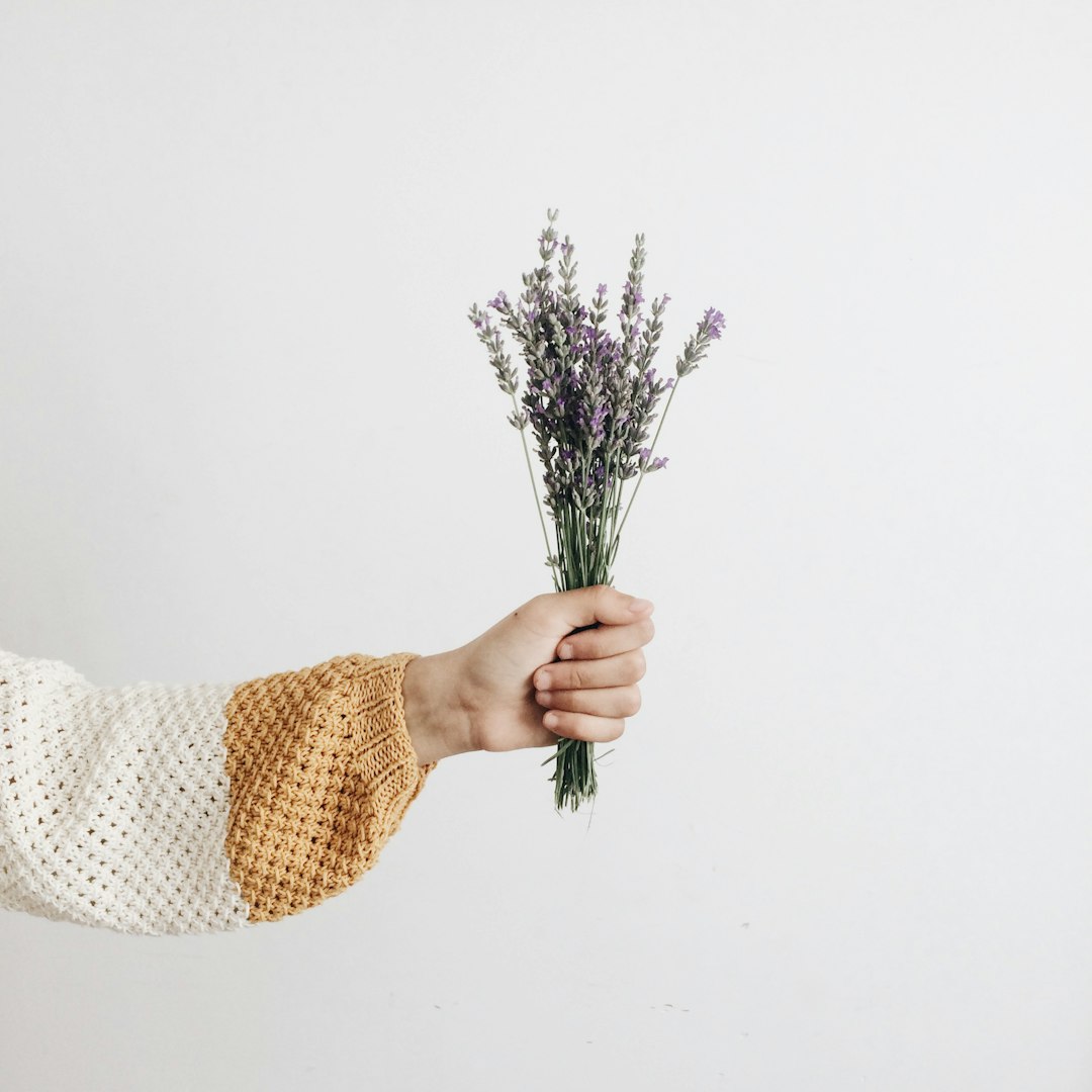 Incorporating Aromatherapy Plants into Your Living Space