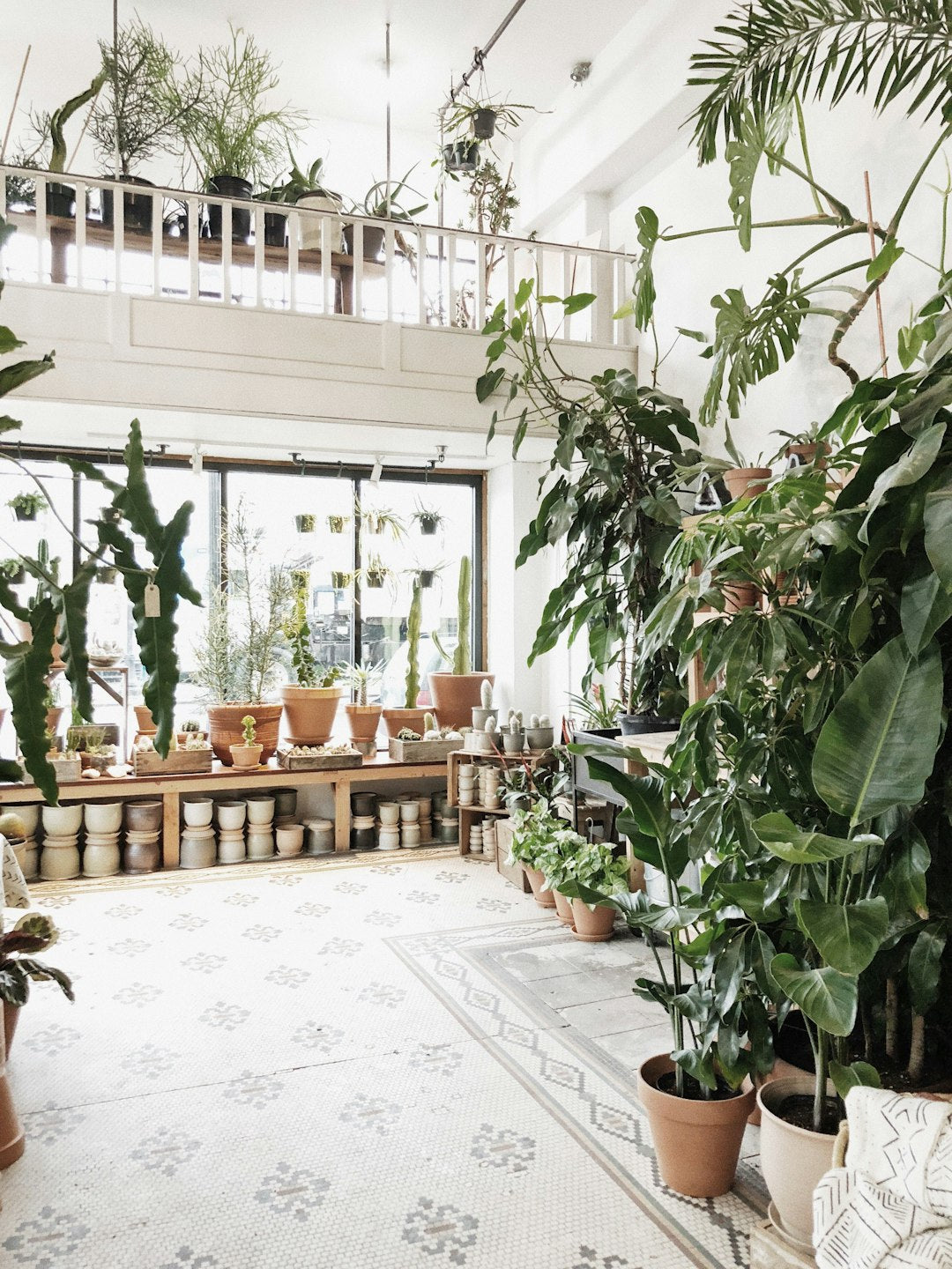 Find Your Green Thumb: How to Choose the Perfect Planters for Your Indoor Garden