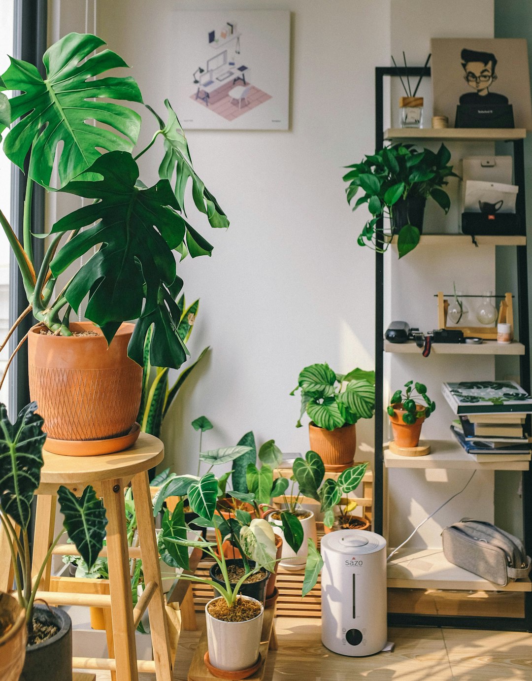 Mastering Plant Care: A Guide for Busy Plant Lovers