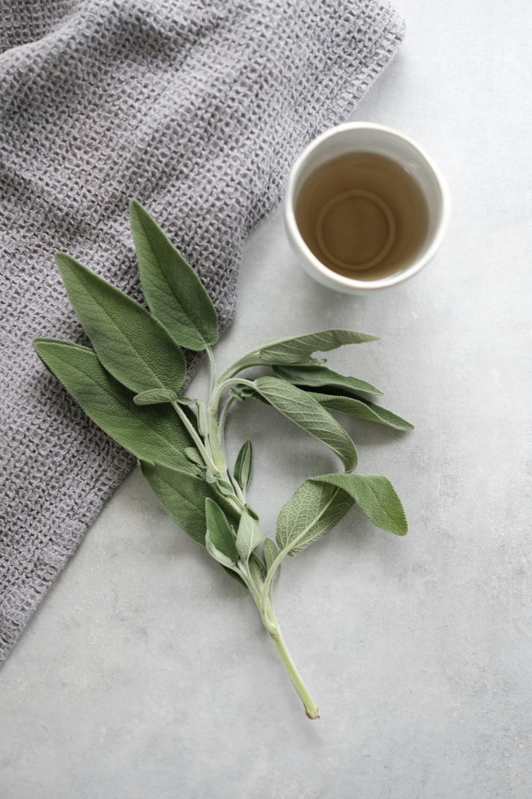 Enhance Your Indoor Garden with Aromatic Herbs