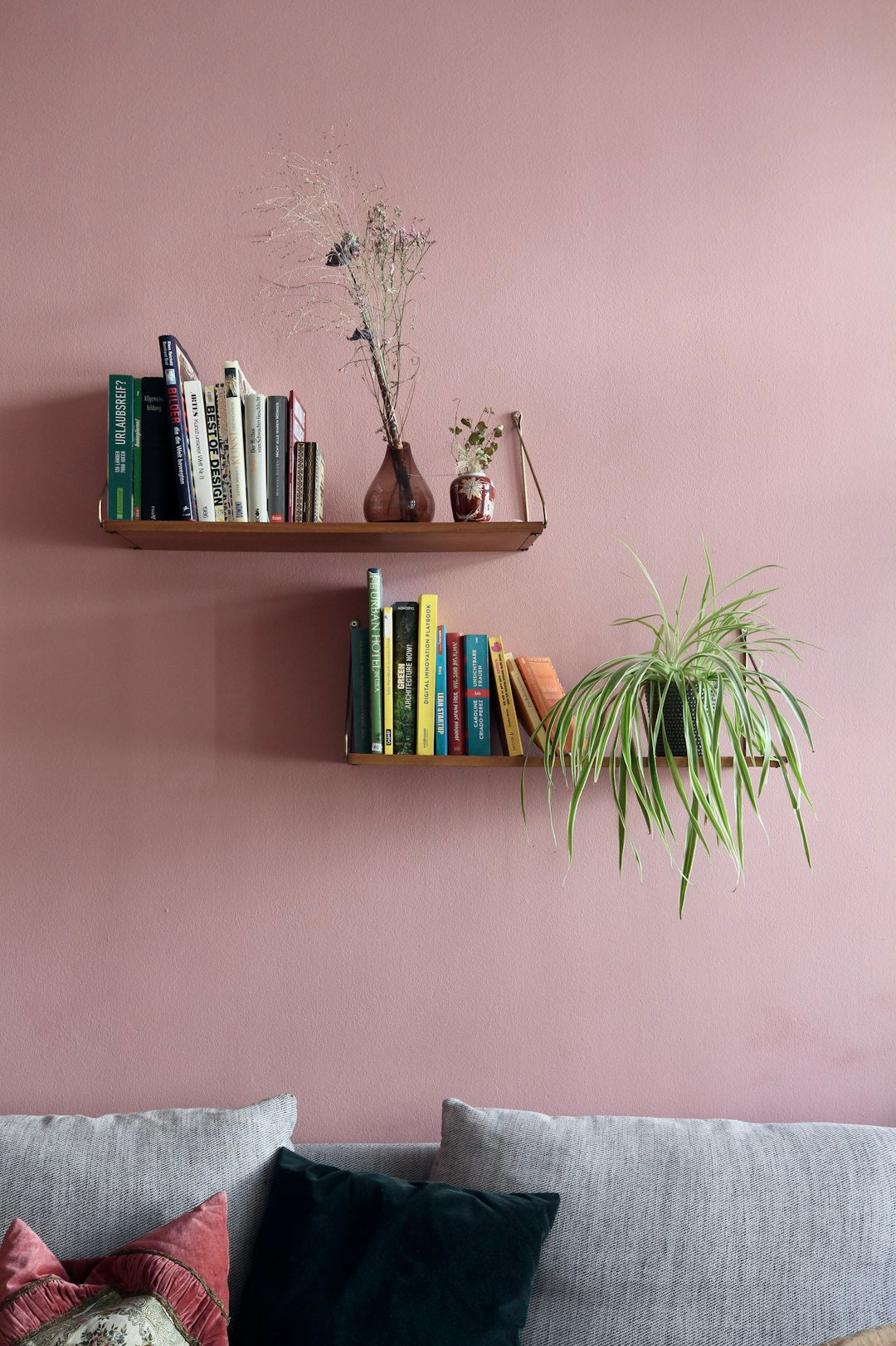 Enhance Your Space with Air-Purifying Plants: A Guide for Plant Lovers