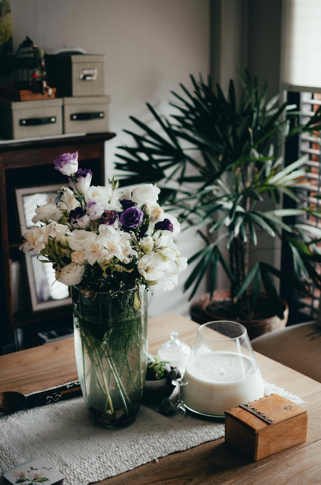 The Importance of Humidity: Boosting Your Houseplant's Health
