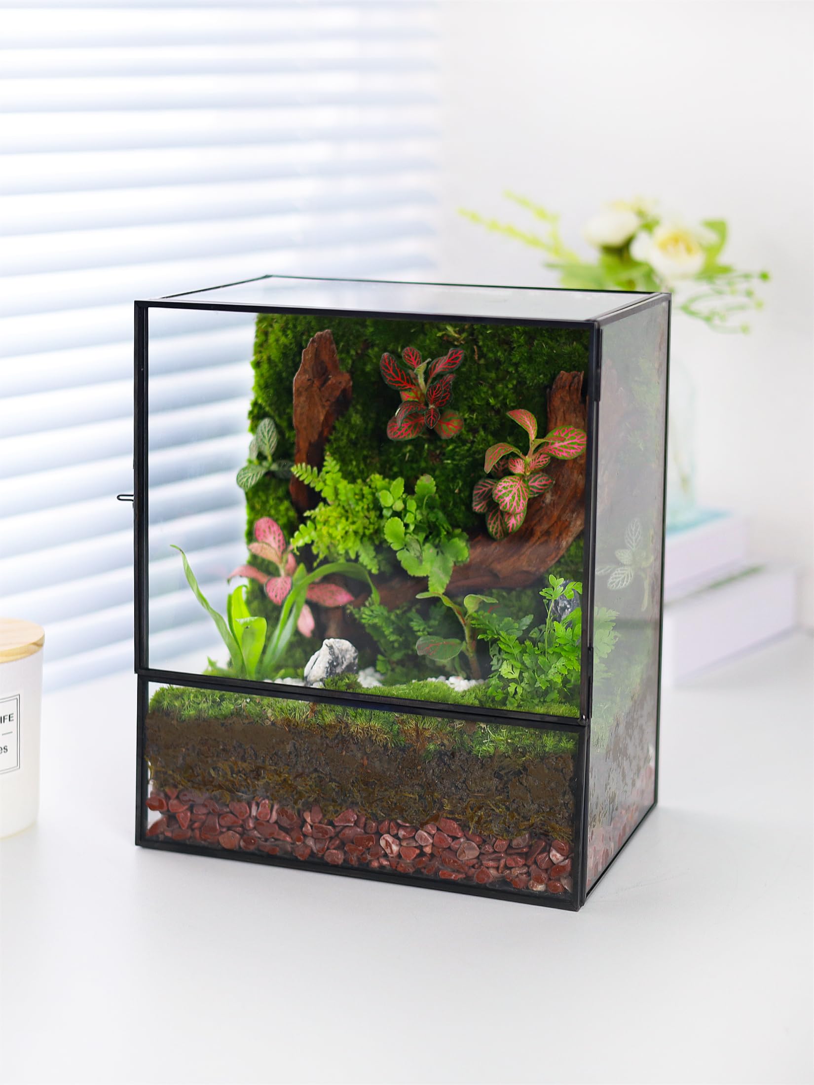 REDHUGO Glass Planter Terrariums with Door, Glass Terrarium Glass Greenhouse, Geometric Plants Terrariums Planter for Moss, Succulent, Indoor Tabletop Centerpiece, Rectangle, Black (TERRARIUM ONLY) - Plantonio