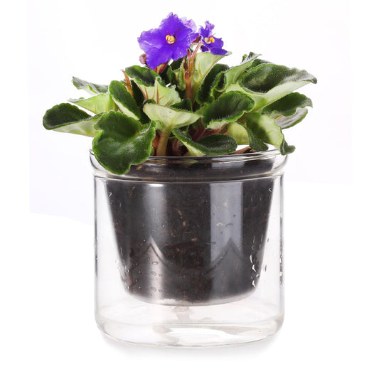 LAZUSAM 4 Inch Self Watering Pot for Indoor Plants,Small Plant Pot,African Violet Pot Self Watering,Bottom Watering Pot,Clear Glass Planter for Small Houseplants - Plantonio