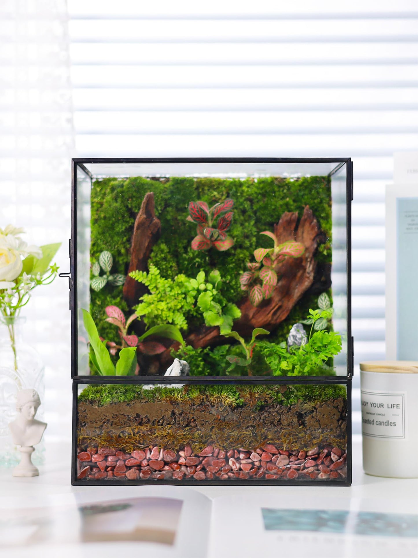 REDHUGO Glass Planter Terrariums with Door, Glass Terrarium Glass Greenhouse, Geometric Plants Terrariums Planter for Moss, Succulent, Indoor Tabletop Centerpiece, Rectangle, Black (TERRARIUM ONLY) - Plantonio